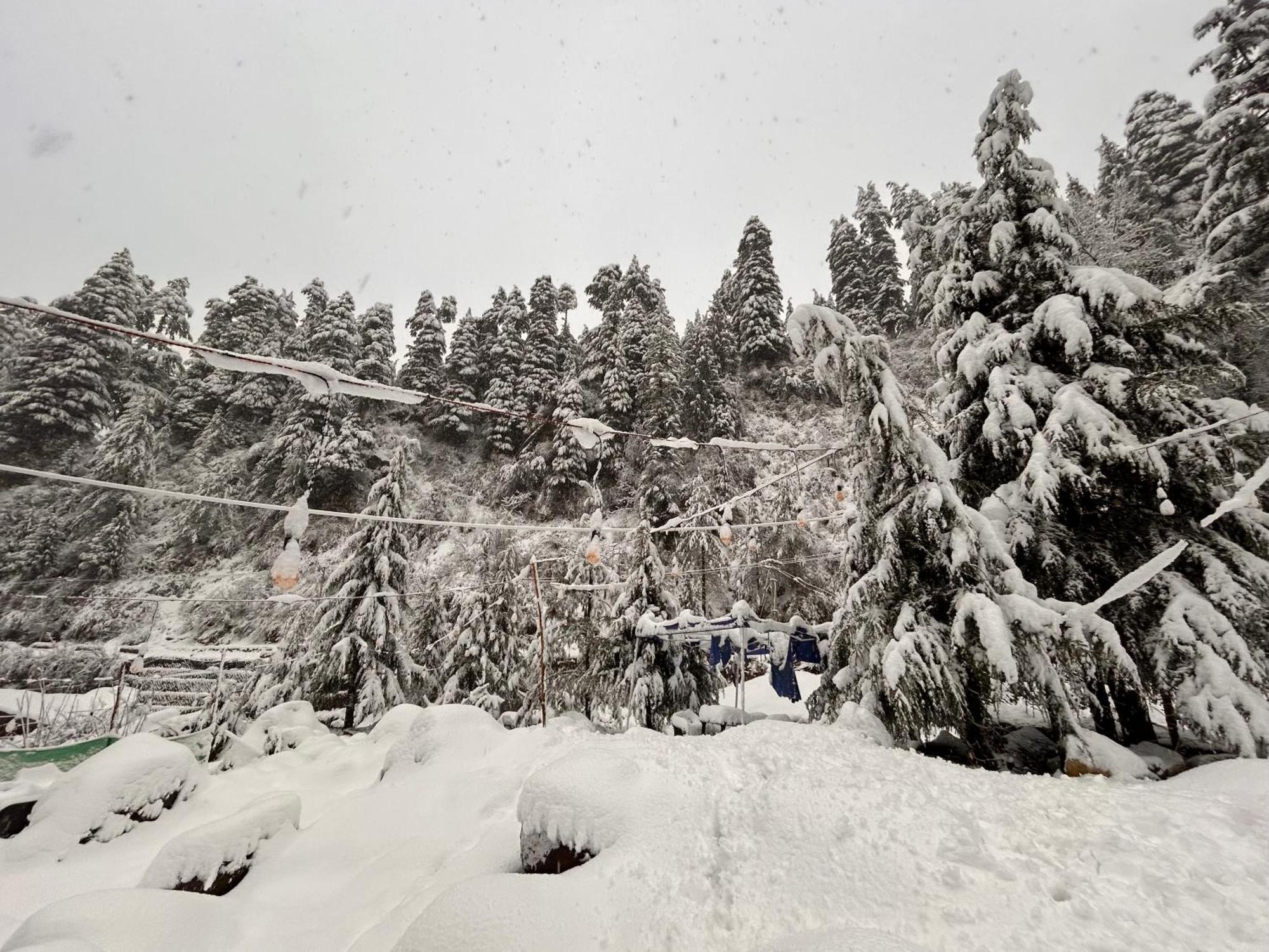 Hostel 360 Degree, Riverside Stay, Old Manali Exterior photo